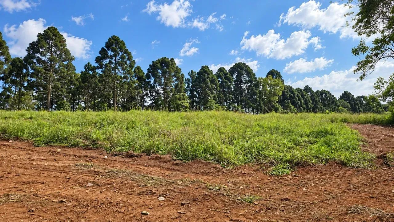 Terrenos de 1000 metros em Mairinque Próximos. - Foto 2