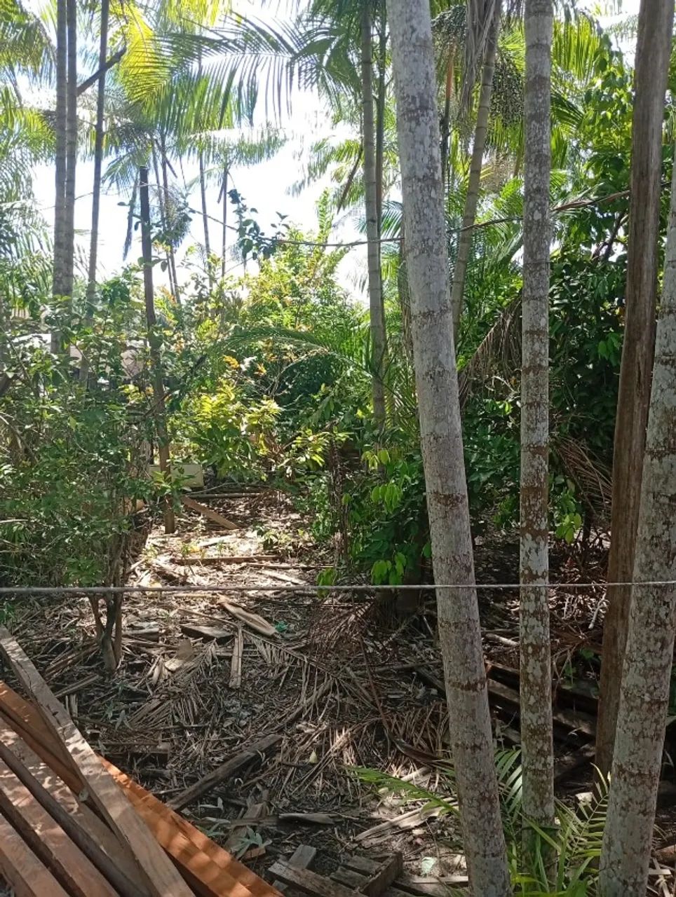 Vende-se um Terreno com duas casa  - Foto 5