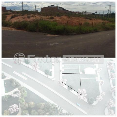 Terreno à venda em Mário quintana, Porto alegre cod:170045 - Foto 7