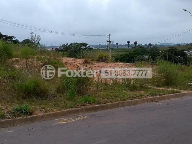 Terreno à venda em Mário quintana, Porto alegre cod:170045 - Foto 8