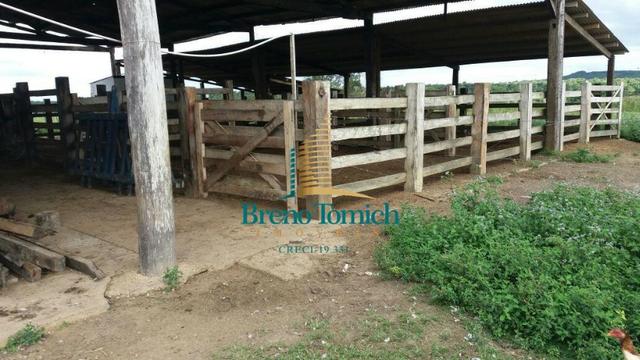 Fazenda Itamaraju - Foto 4