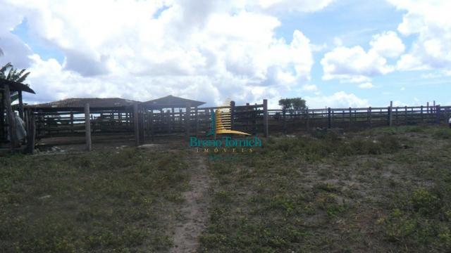Fazenda em Eunápolis - Foto 11