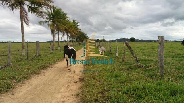 Fazenda Itamaraju - Foto 17