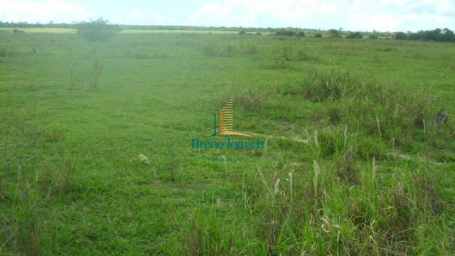 Fazenda em Eunápolis - Foto 2