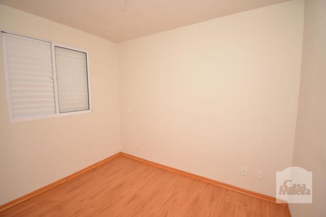 Apartamento à venda com 3 dormitórios em Caiçaras, Belo horizonte cod:237699 - Foto 11