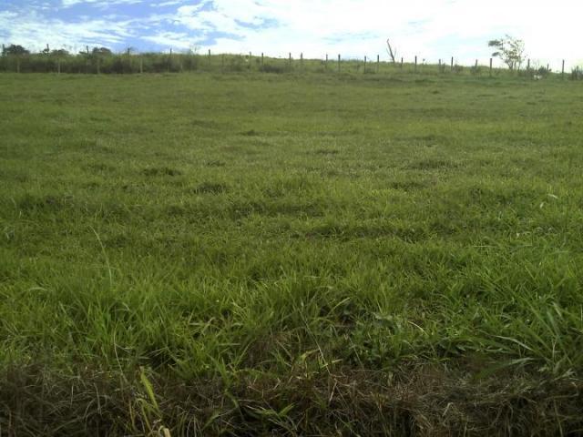 Lote para Venda em Iguaba Grande, Vila Nova