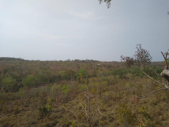 Chácara - Foto 10
