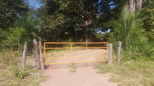 Chácara - Foto 2