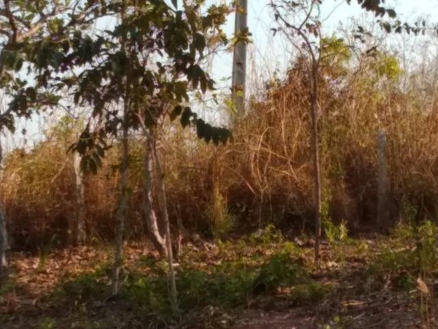 Chacara em acorizal beira do rio - Foto 5