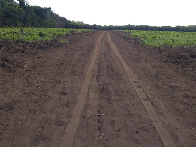 Lotes em Viçosa do Ceará - Foto 12