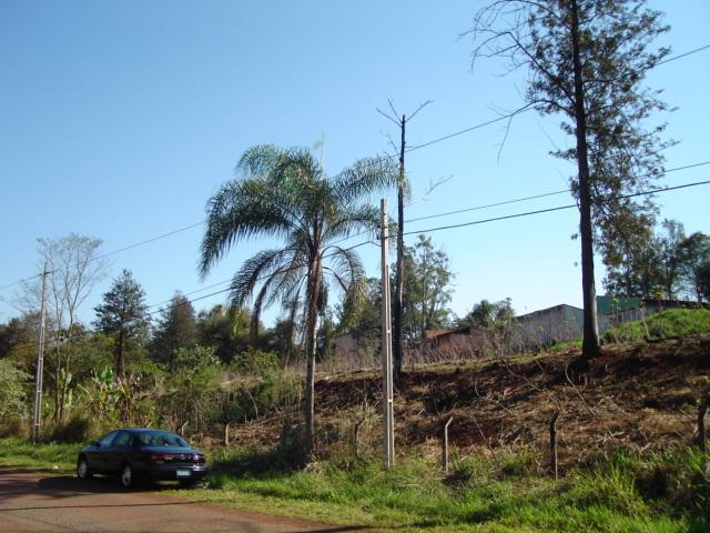 Terreno para alugar em Fazenda gleba palhano, Distrito espirito santo cod:00611.008 - Foto 4
