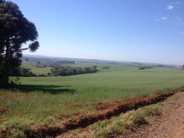 8271 | Fazenda à venda em ZONA RURAL, Espigão Alto Do Iguaçu - Foto 4