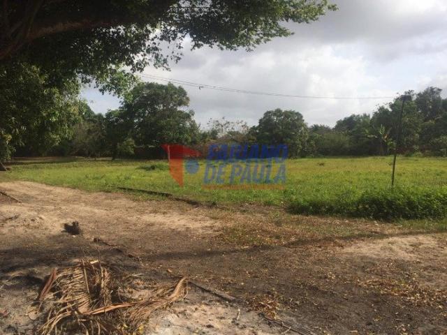 Terreno à venda com 0 dormitórios em Chácara itapiracó, São luís cod:617 - Foto 5