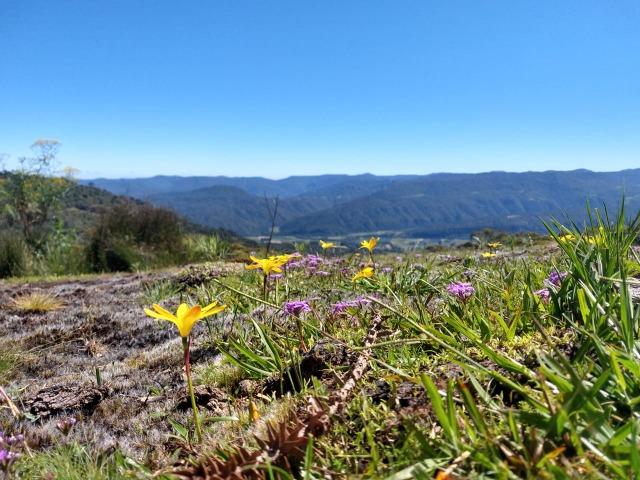 Sitio em Urubici/ área rural /chácara - Foto 10