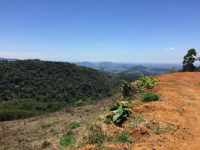 Sítio com vista para o litoral entre Fundão e Santa Teresa com casa nova - Foto 14