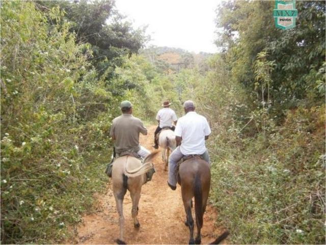 Fazenda na cidade de Ibirataia a 340 Km de Salvador e 320 Km de Camaçari - Foto 12