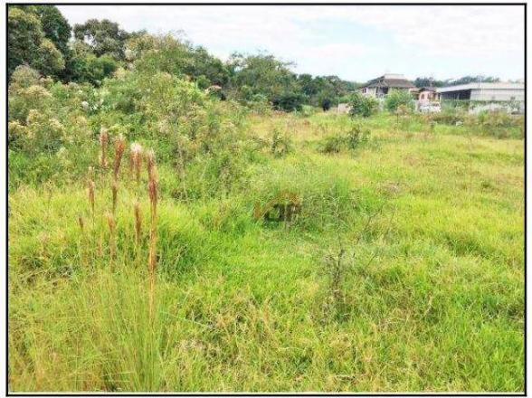 Terreno à venda, 972 m² por R$ 161.000,00 - Bortoluzzi - Nova Veneza/SC - Foto 4