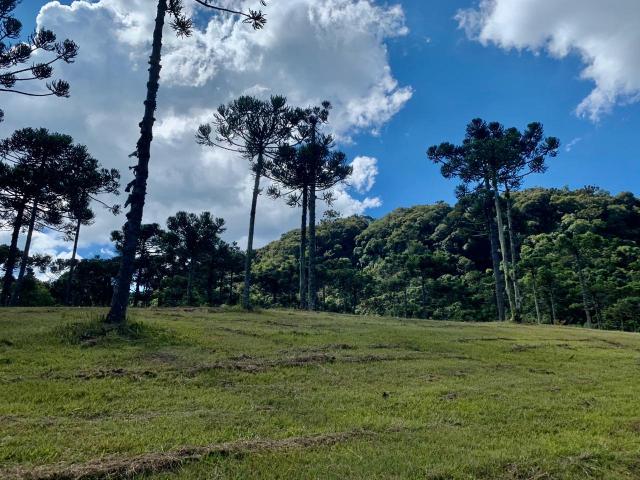 Chácara em Urubici/ terreno em Urubici/ Urubici - Foto 8
