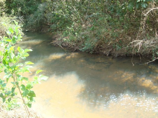 Chácara Excelente 2,5 Alqueires, Próximo à Rozelandia-Bela Vista de Goiás