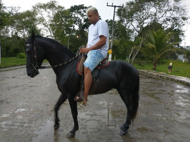 Cavalo Preto registra - Foto 4