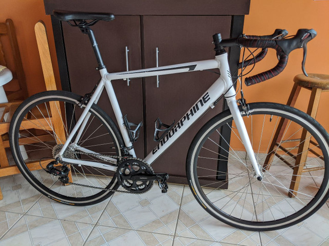 bike endorphine fast 20