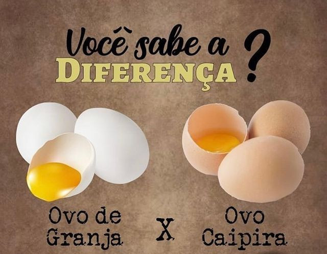 Ovos caipira; Granja Caipira Maria Bonita - Foto 3