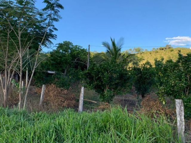 Vendo Fazenda 12 Alqueires, 55 Km de Palmas - Foto 5