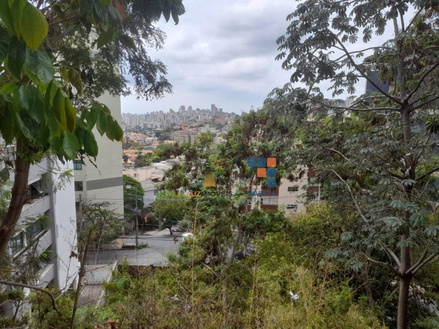 Casa com 4 dormitórios à venda, 328 m² por R$ 1.550.000,00 - São Bento - Belo Horizonte/MG - Foto 3