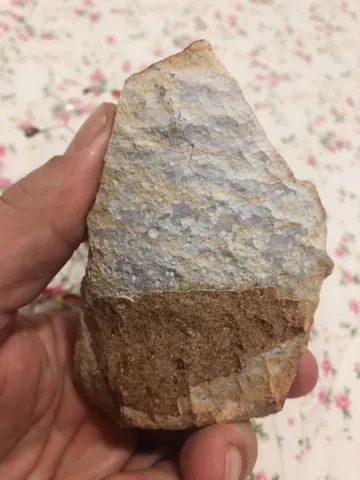 Árvore dos desejos - Foto 5