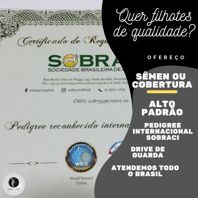 Artigos - SOBRACI