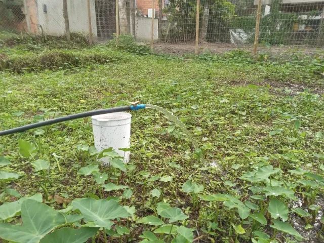 Camburi Terreno com Matrícula - Foto 4