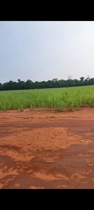 Fazenda de cana melhor preço  - Foto 2