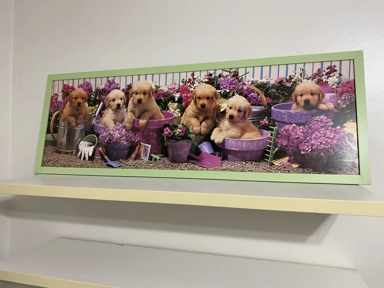 Quadro Decorativo