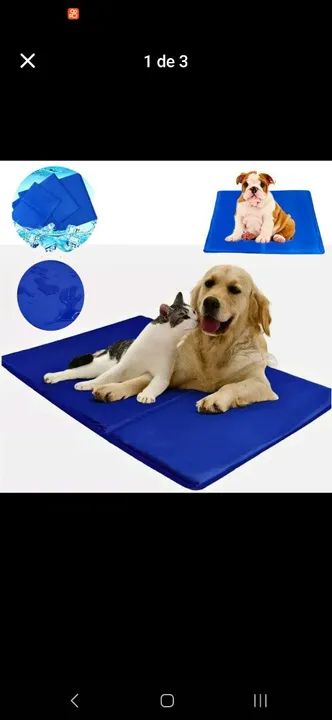 Cachorro ou gato - Foto 2