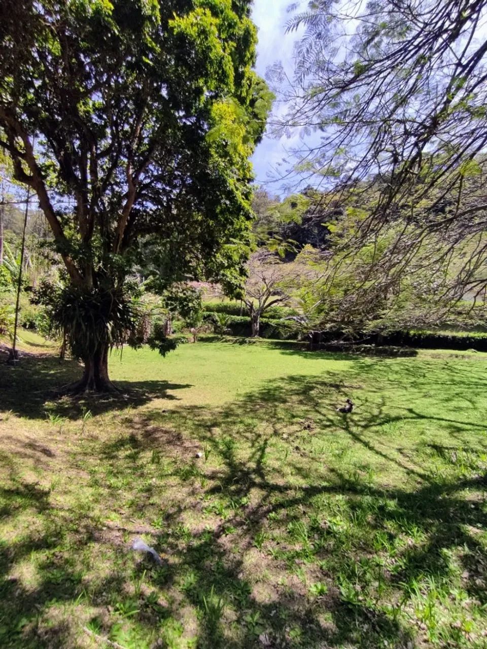 Vendo este ótimo Sítio em Mendes - Foto 5