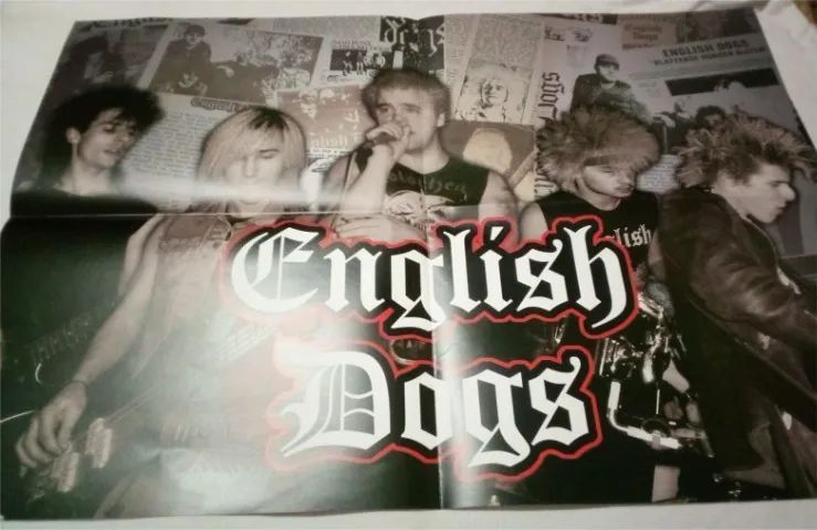 English Dogs - To The Ends Of The Earth - Vinil Importado Alemanha - Foto 3