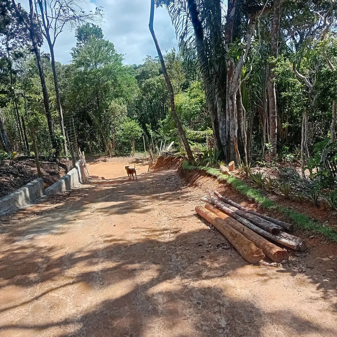 Últimos terrenos em condomínio rural ,5km da praia de Imbassai  - Foto 5