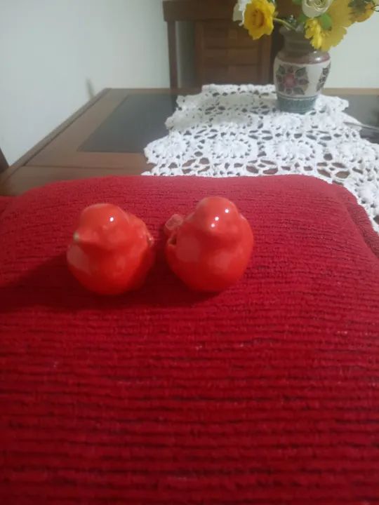Par de Pássaros Decorativos de Cerâmica - Foto 3