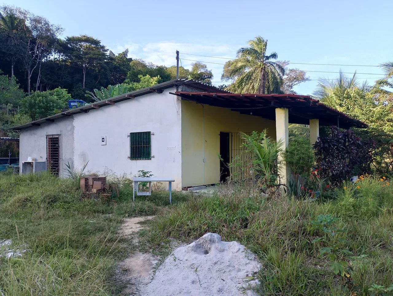 Foto - Paulista - Jaguaribe