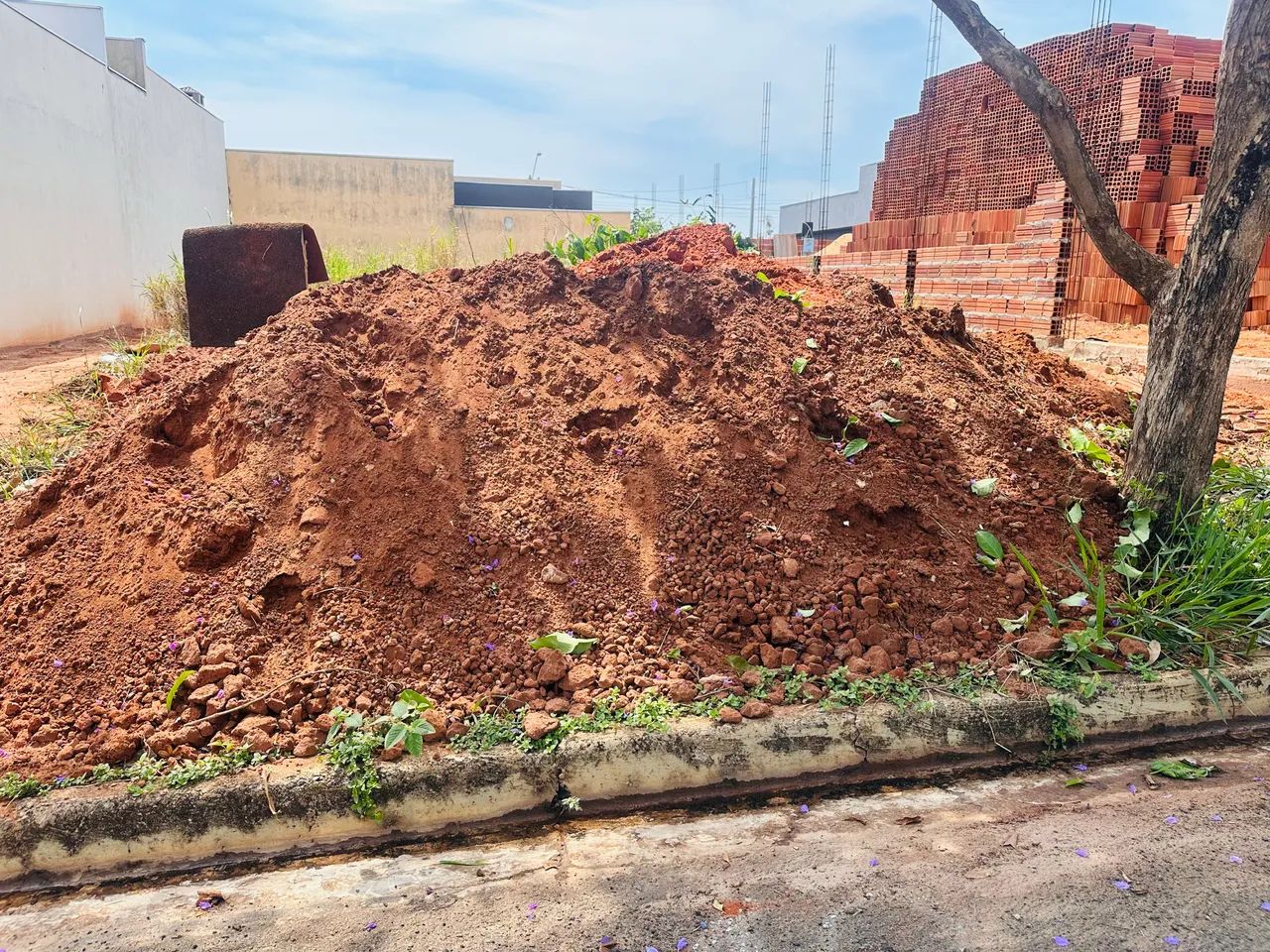 Doa-se terra64286471764355120