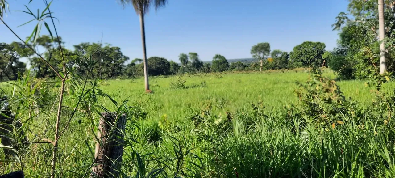 Imóvel para aluguel possui 14000000 metros quadrados em Z - Bela Vista - MS