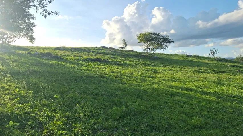 Fazenda em Altinho/PE à Venda (FA0197-DV) - Foto 5