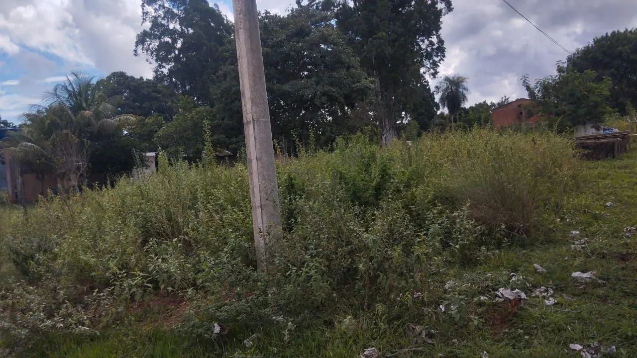 Chacara 20x50 saída pra SP antes do Locatelli