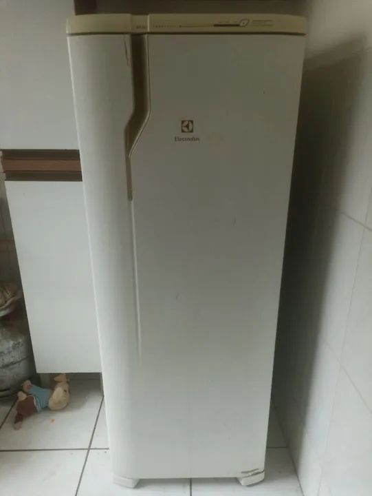 Geladeira Frost Free Eletrolux FRE39 - Foto 5