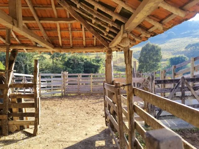 sitio à venda em carvalhos mg - Foto 4