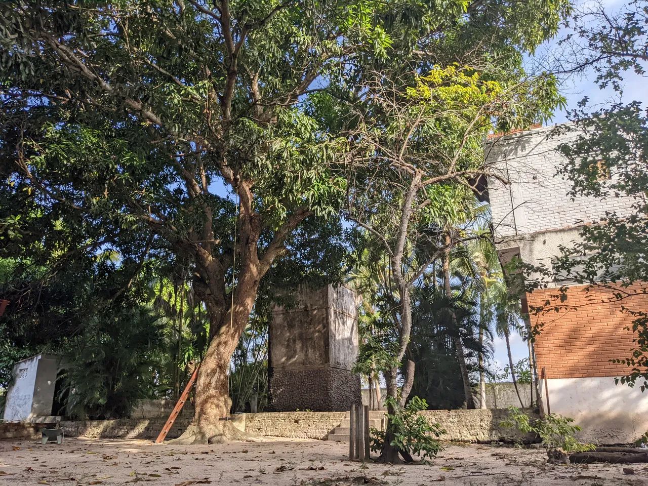 OPORTUNIDADE! ÁREA/CHÁCARA COM 3 HECTARES EM MACAÍBA - Foto 2