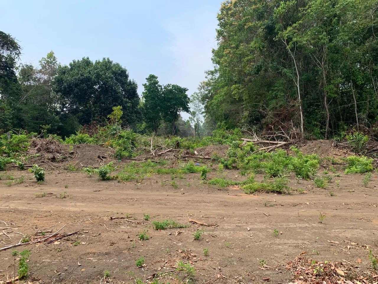 Terreno em Belterra próximo ao asfalto