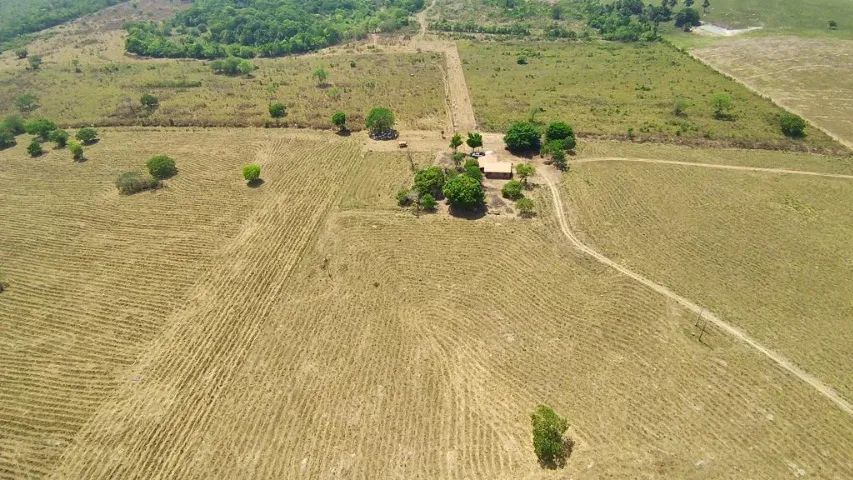 Fazenda dos sonhos 136 ha