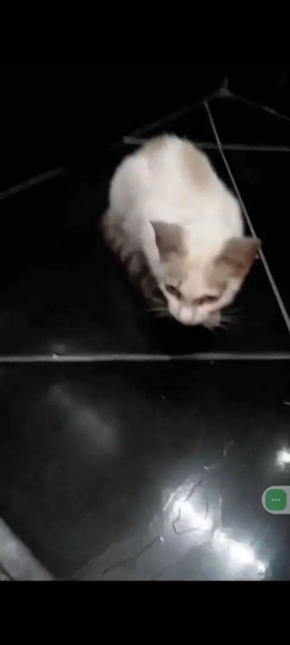 Abandonada  - Foto 2