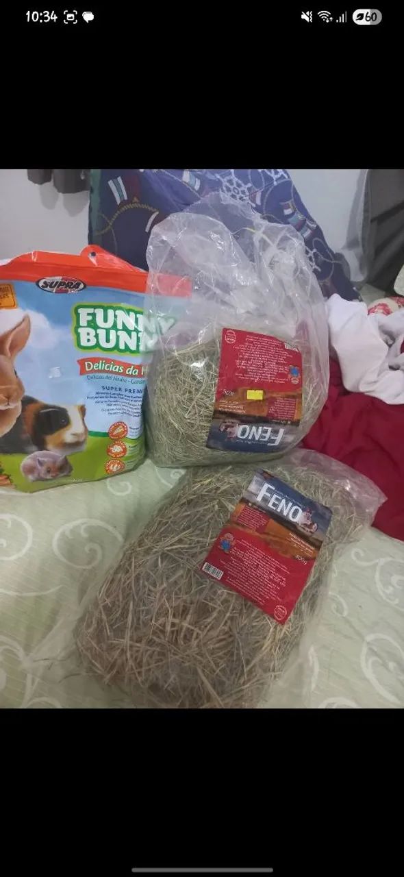 VENDO COELHO COM TODOS OS ACESSÓRIOS E COMIDA!! - Foto 3